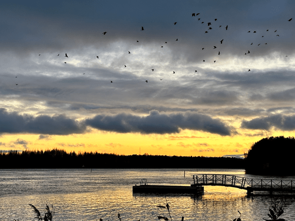 sun setting over Lake Pielisjoki, Joensuu in Finland