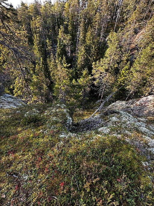 View of trees from above at Pirunkirnu ascending hike in Finland 