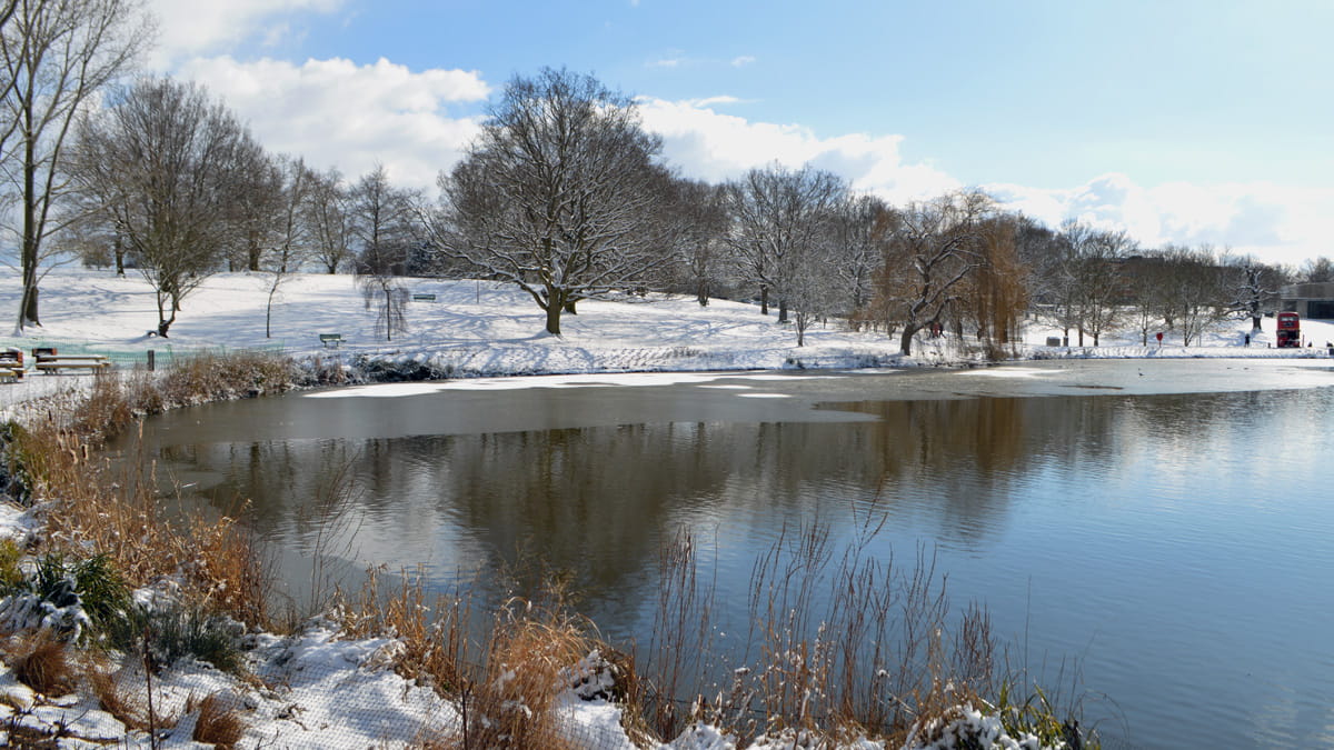 Covering of snow around the lake in Wivenhoe Park