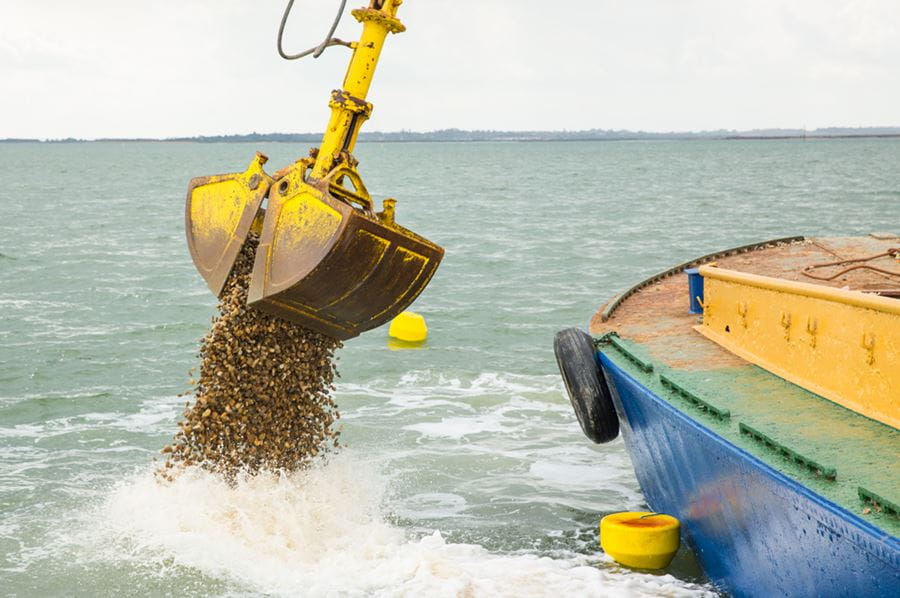 Cultch-laying off Mersea Island