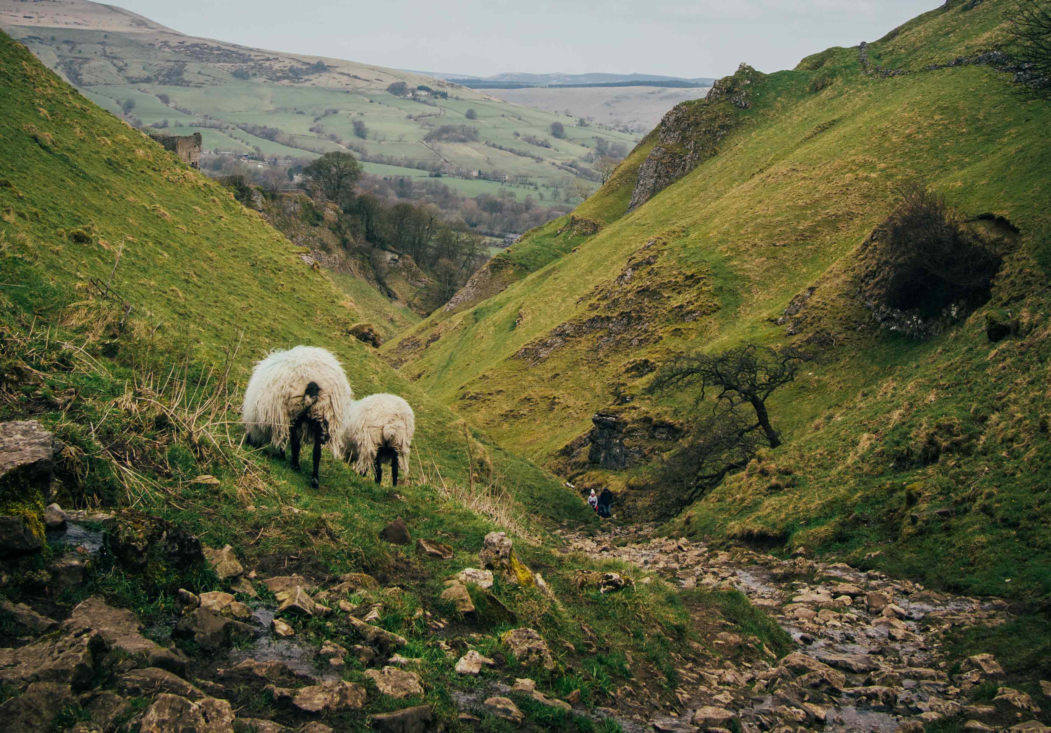 Does heritage have a role in addressing the climate crisis?