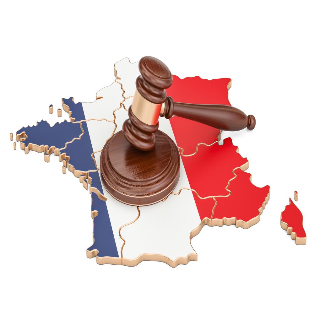 French and Law Double Degree: what is it like?