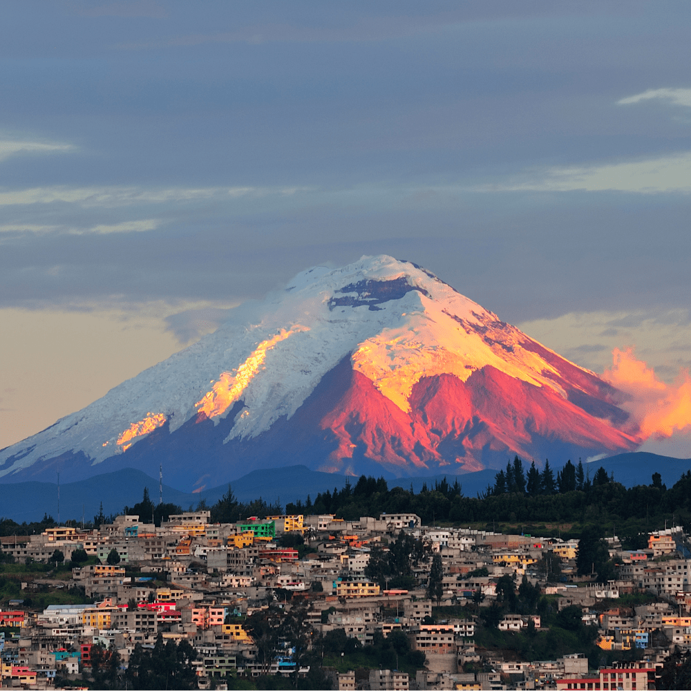 Ecuador has become a hotbed of violence run by criminal gangs and drug cartels