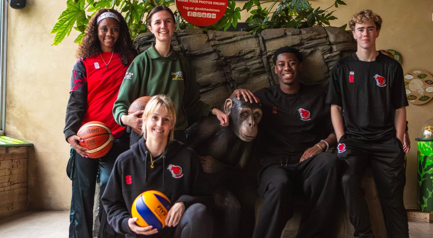 The Rebels in the chimpanzee habitat