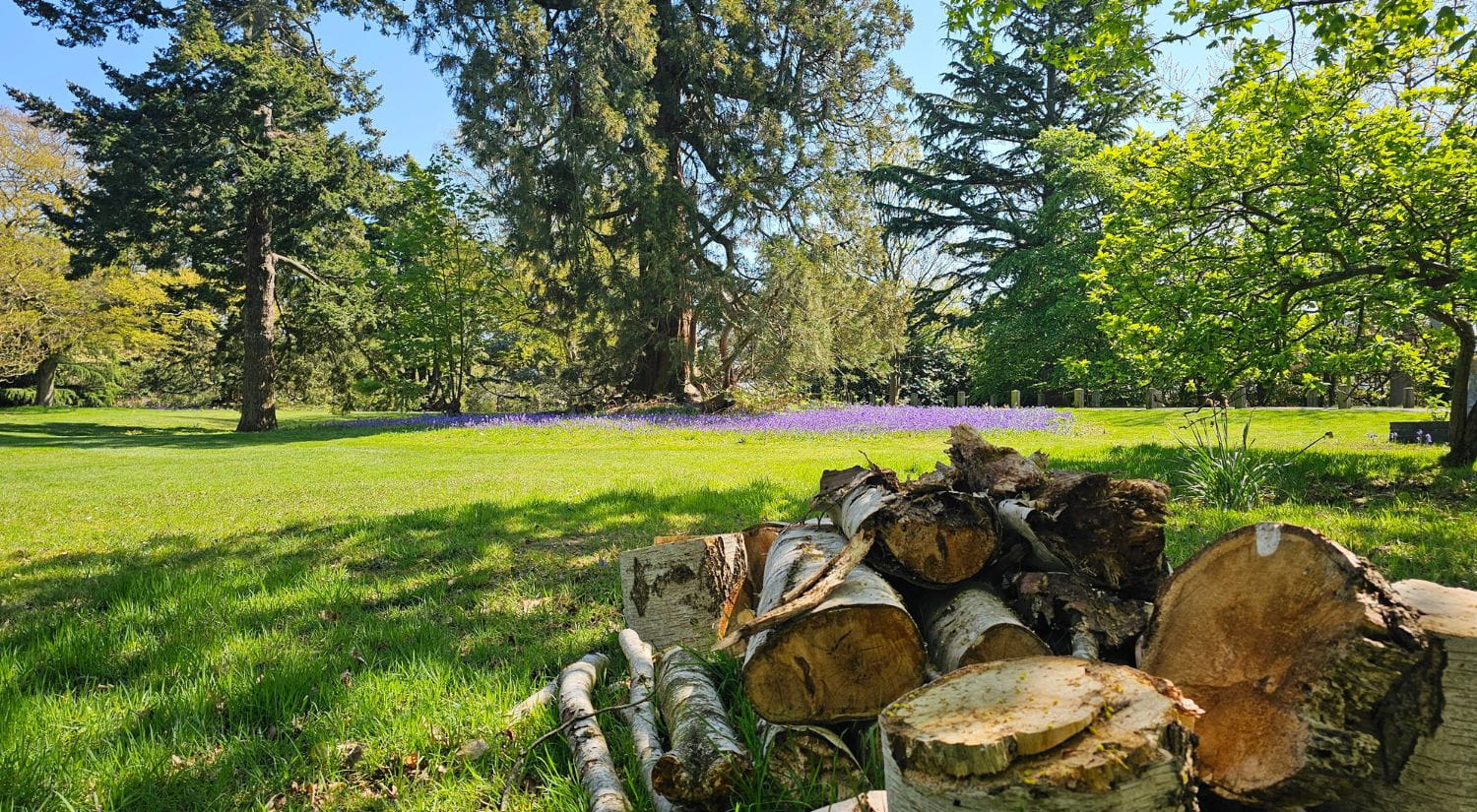 A log pile at our Colchester Campus