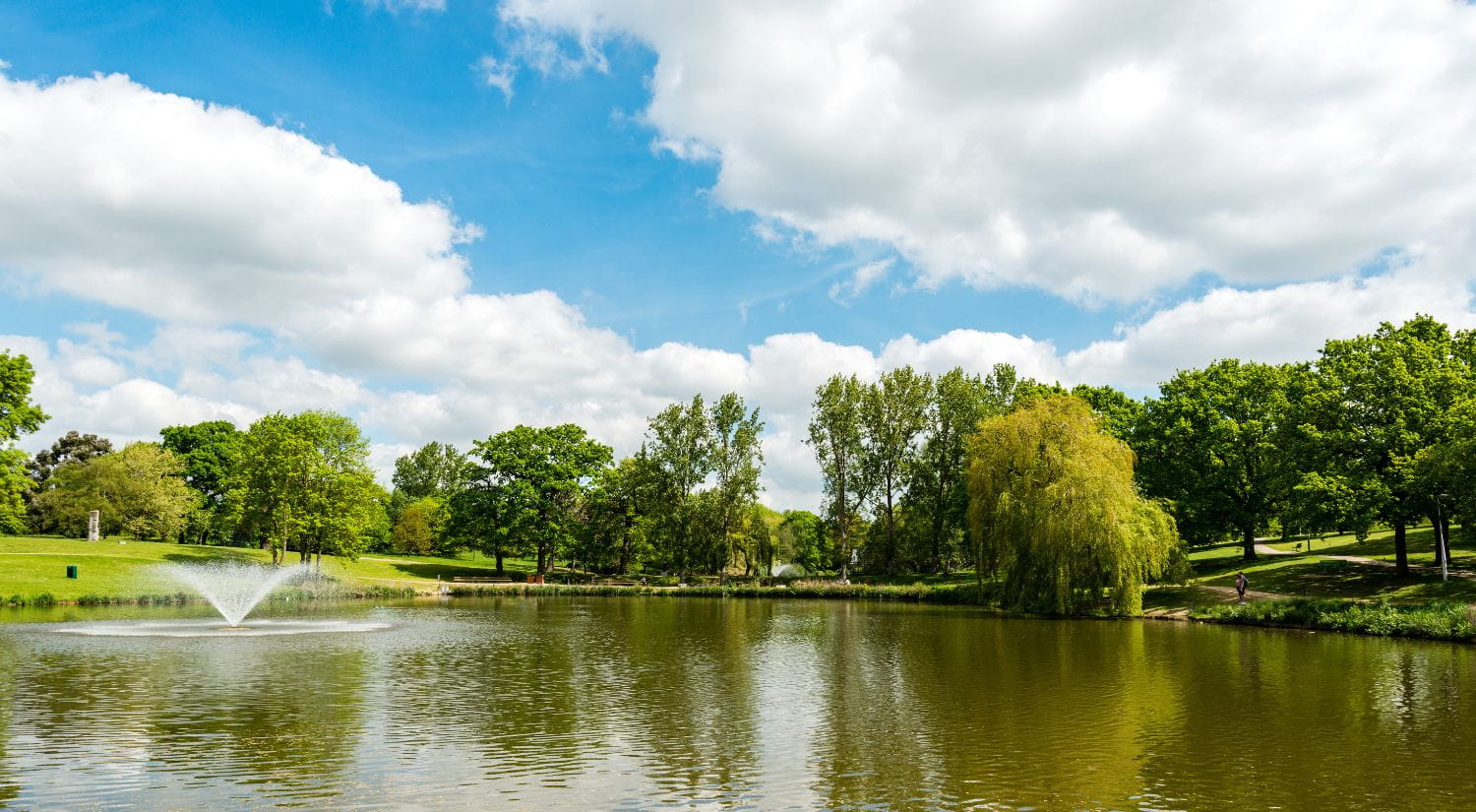 A view across the lake at our Colchester Campus