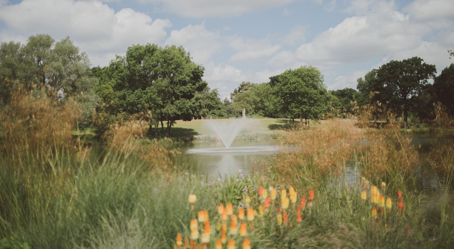 The Lake at Wivenhoe Park