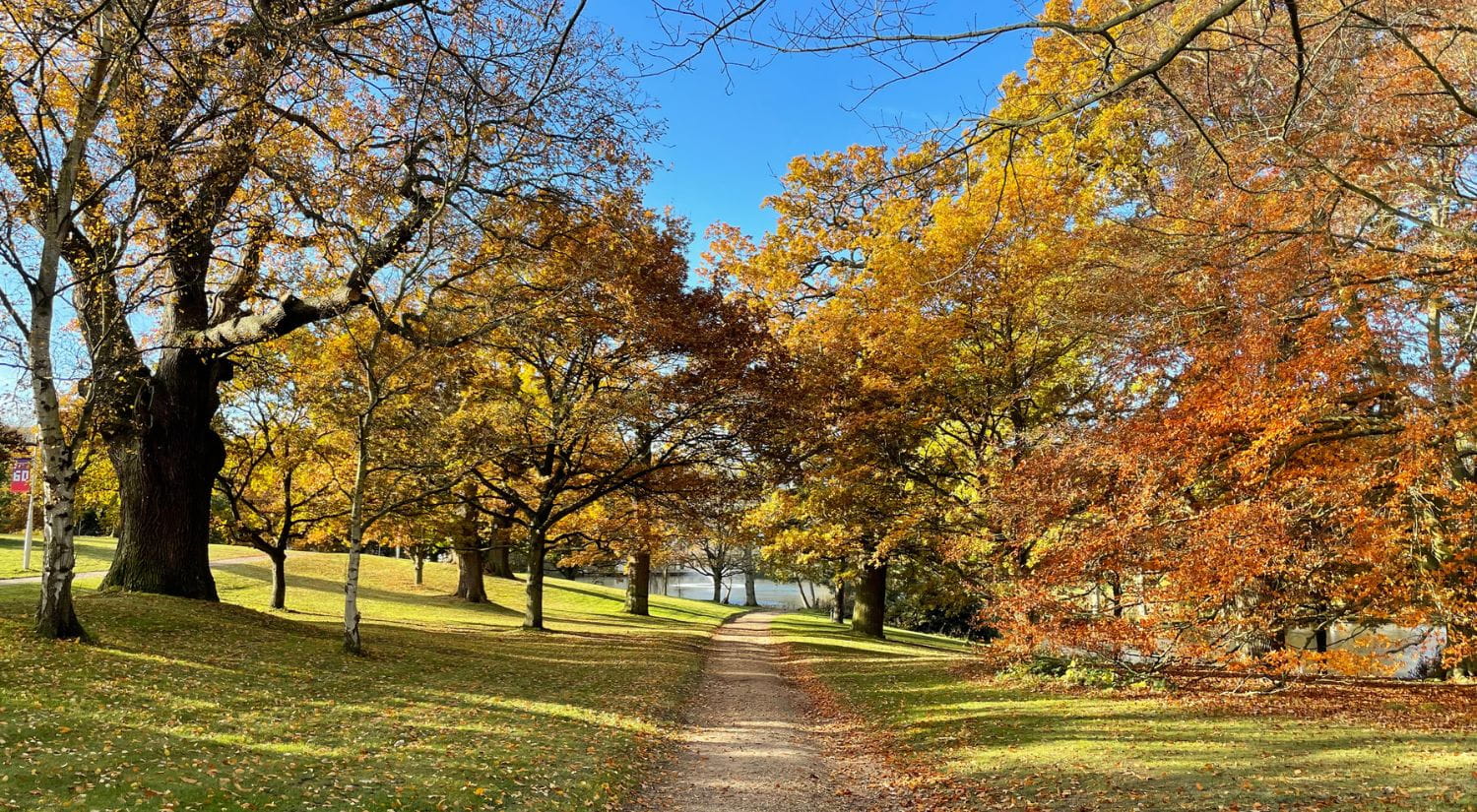Wivenhoe Park in the autumn