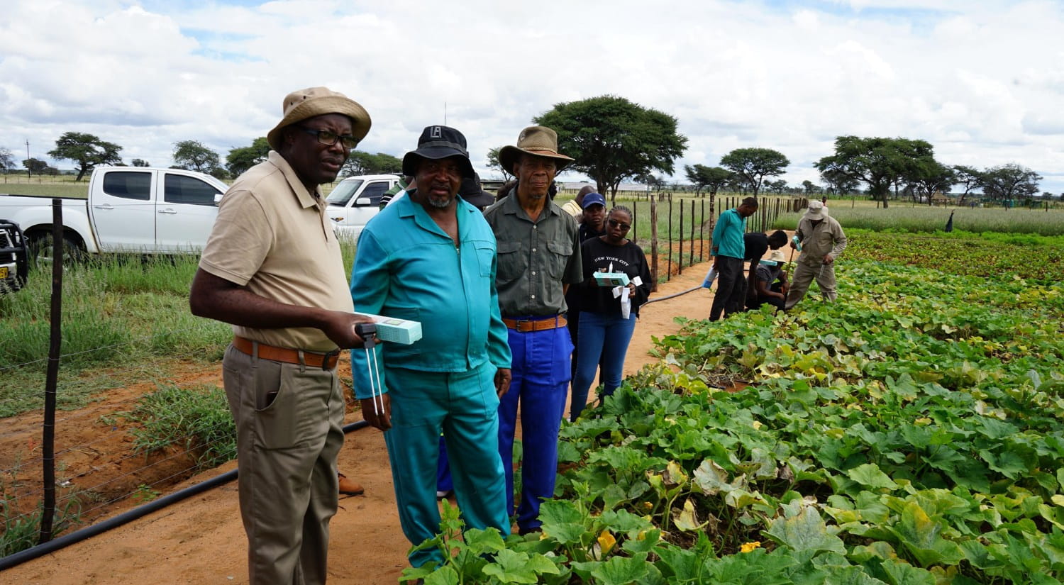 Research was taken into agriculture