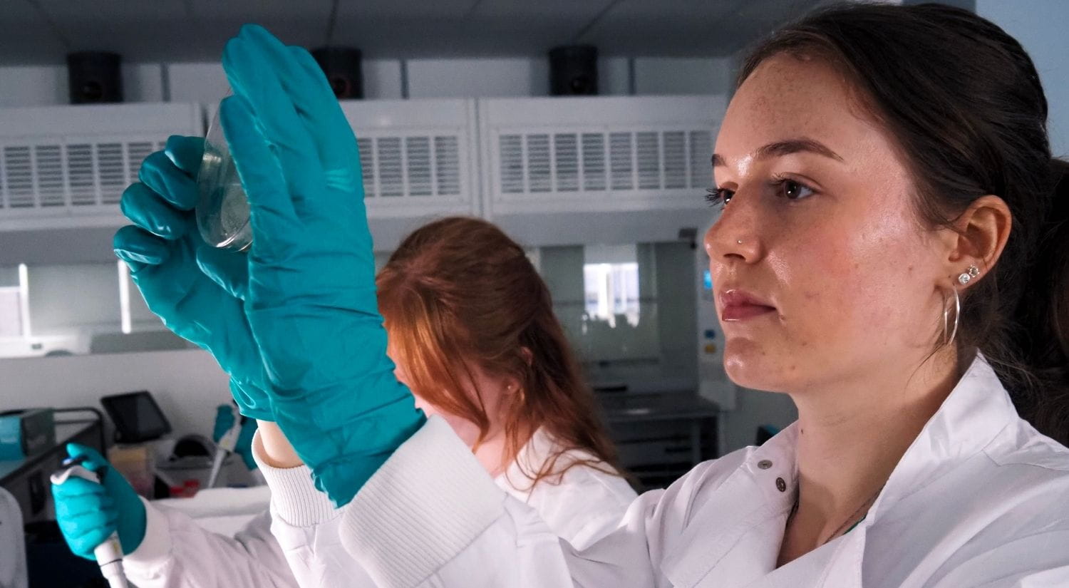 Cancer cells will be grown and examined