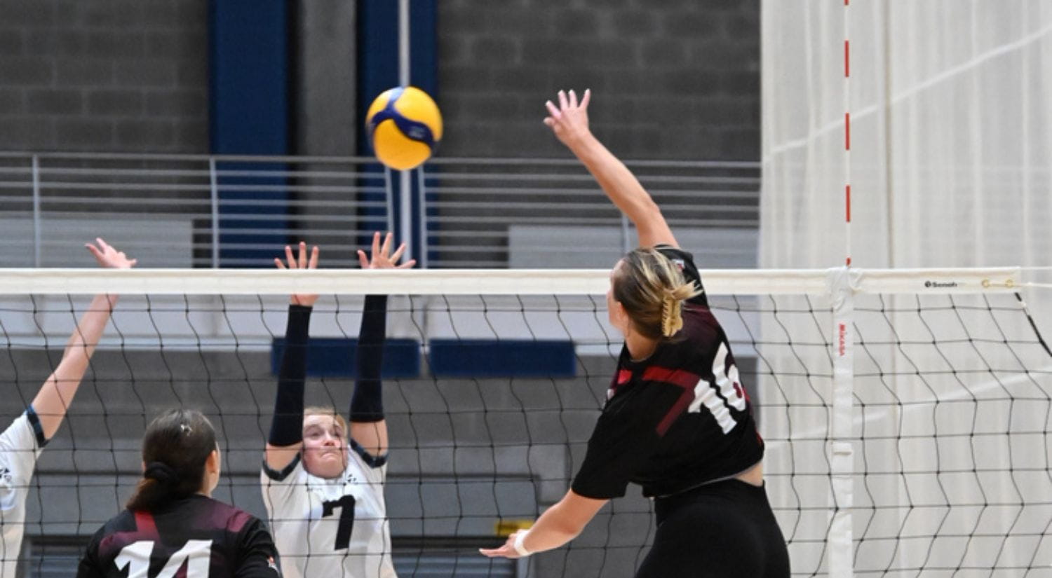 Tara leaps for the ball