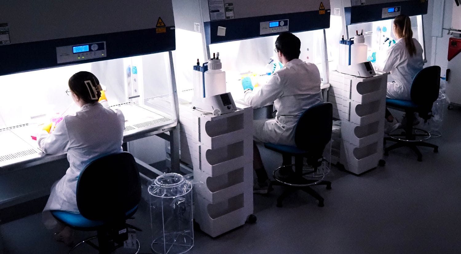 The high-tech bays in the cancer diagnostics laboratory