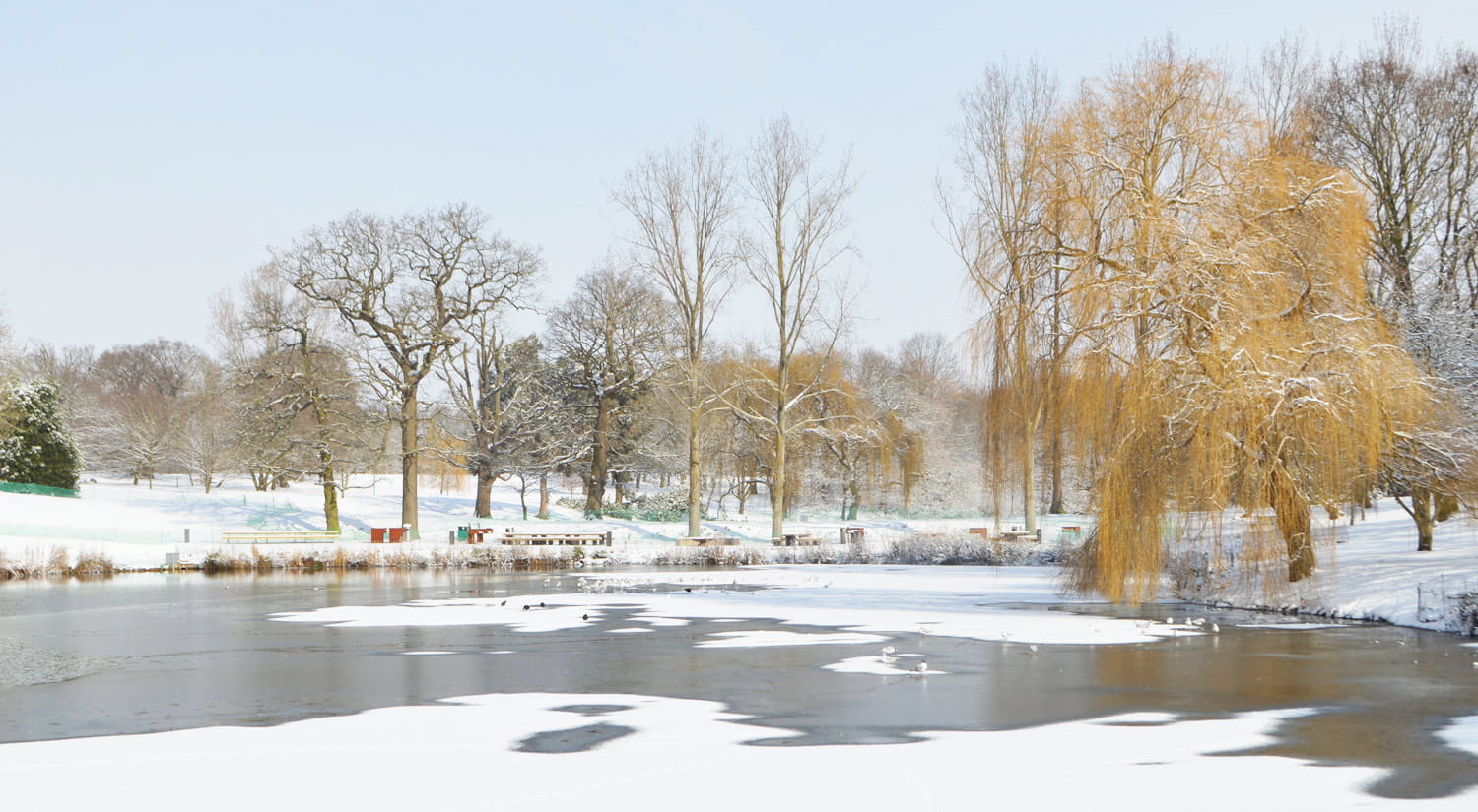 Snow around our lake