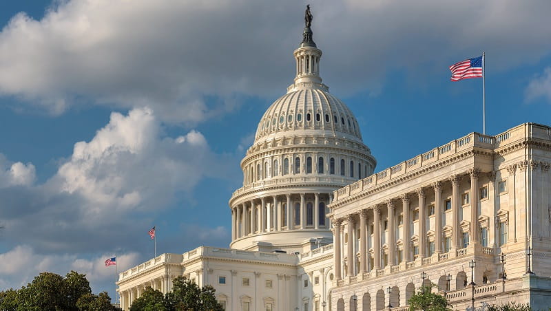 Our module 'The Great American Experiment' will look at rise of corporate America; the labour movement; gender, sexuality, and morality; the Civil Rights Movement; and the triumph of conservative politics.