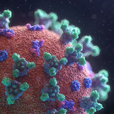 A microscopic view of the coronavirus cell.