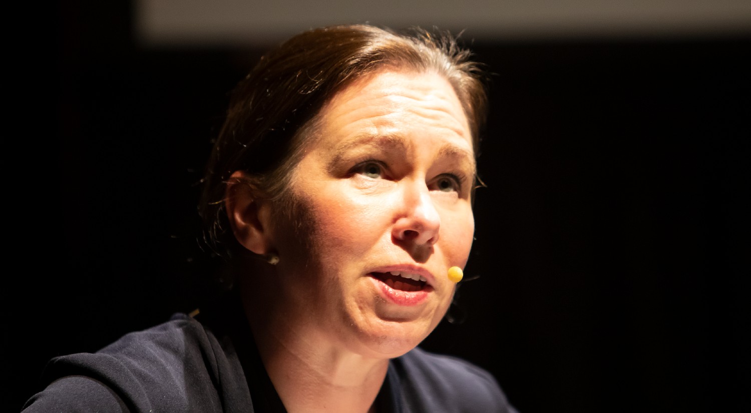 Professor Fox O’Mahony chairs the panel 