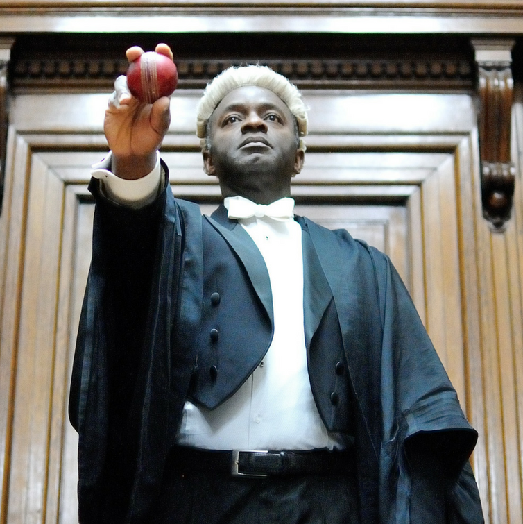just-an-ordinary-lawyer--autorenamed.png?