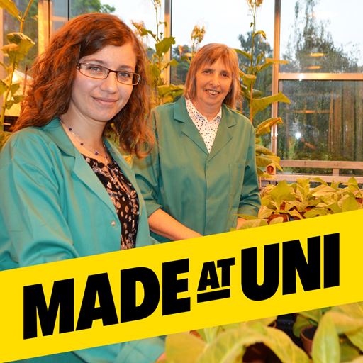 Essex research featured in Made at Uni campaign