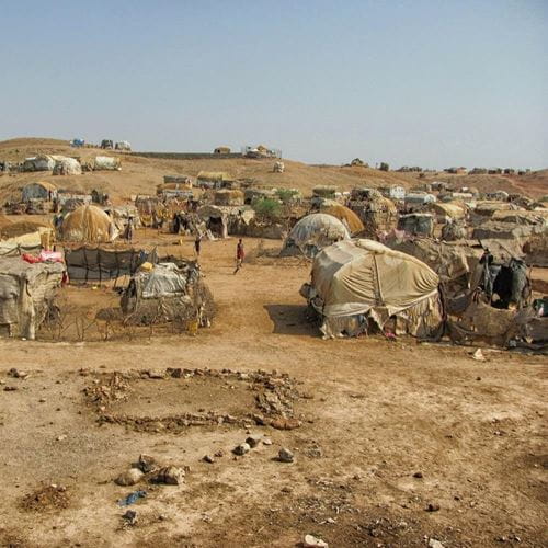  Centre for Trauma, Asylum and Refugees  