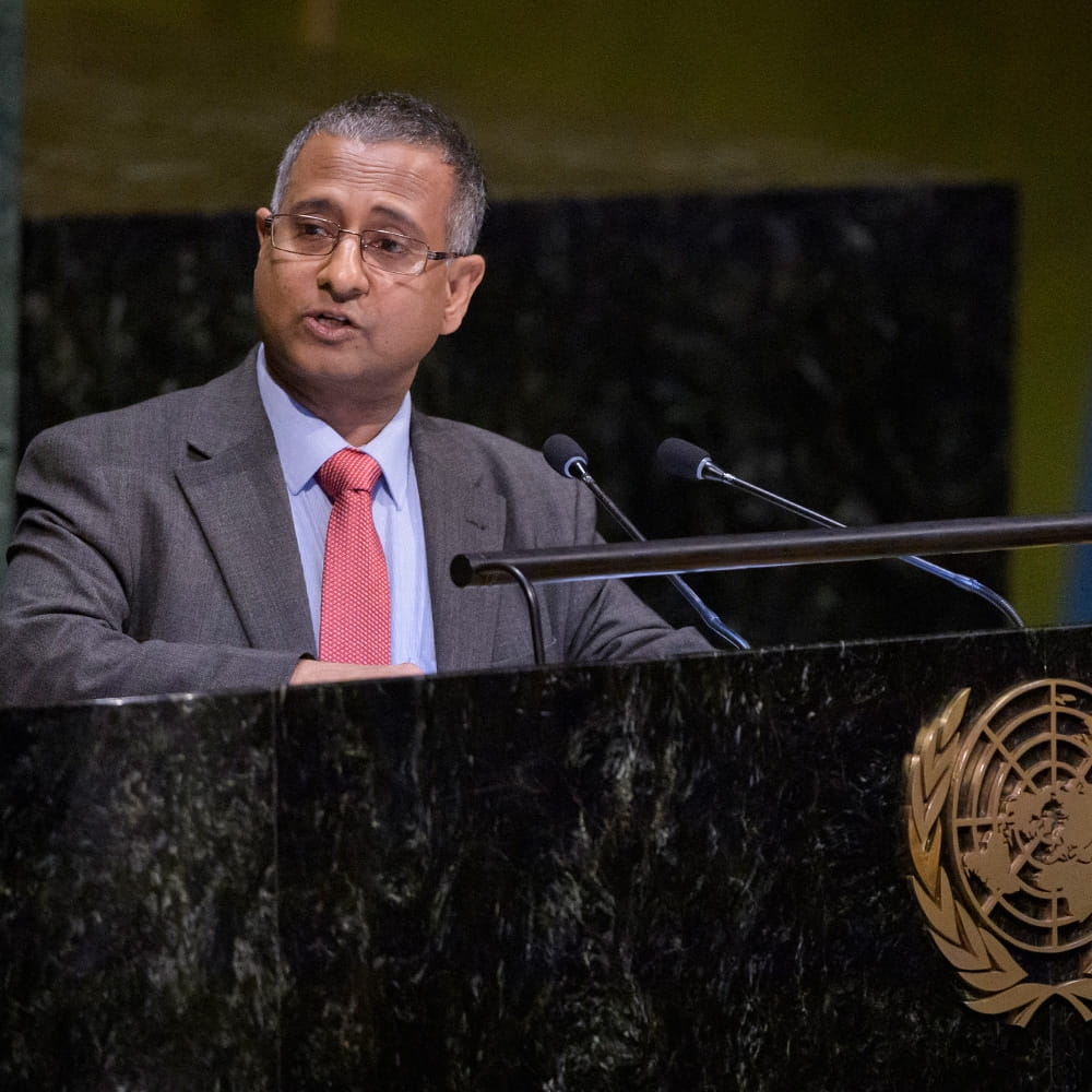 Professor Ahmed Shaheed