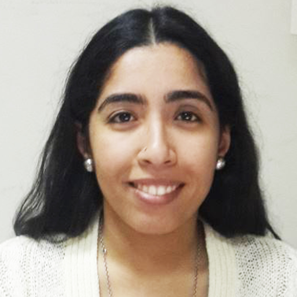 Reem Elmeleegy British Council Finalist