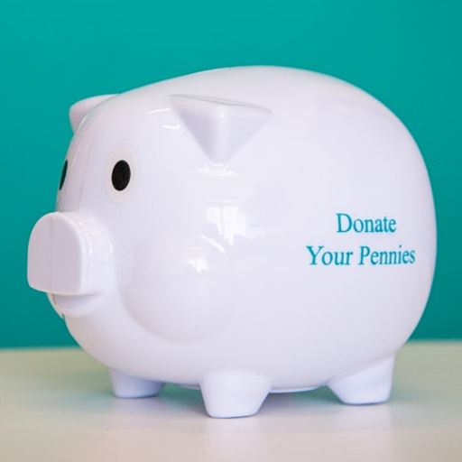 Donate Your Pennies piggy bank