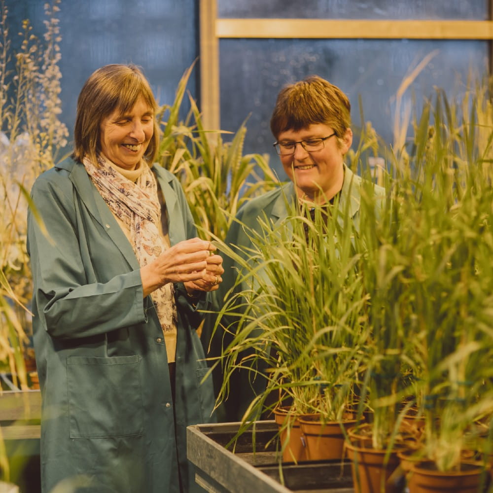 Christine Raines and Tracy Lawson
