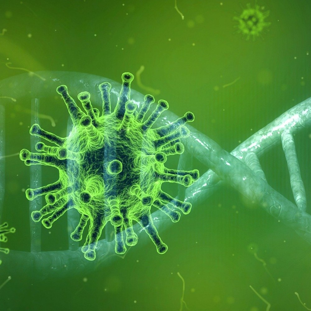 Coronavirus