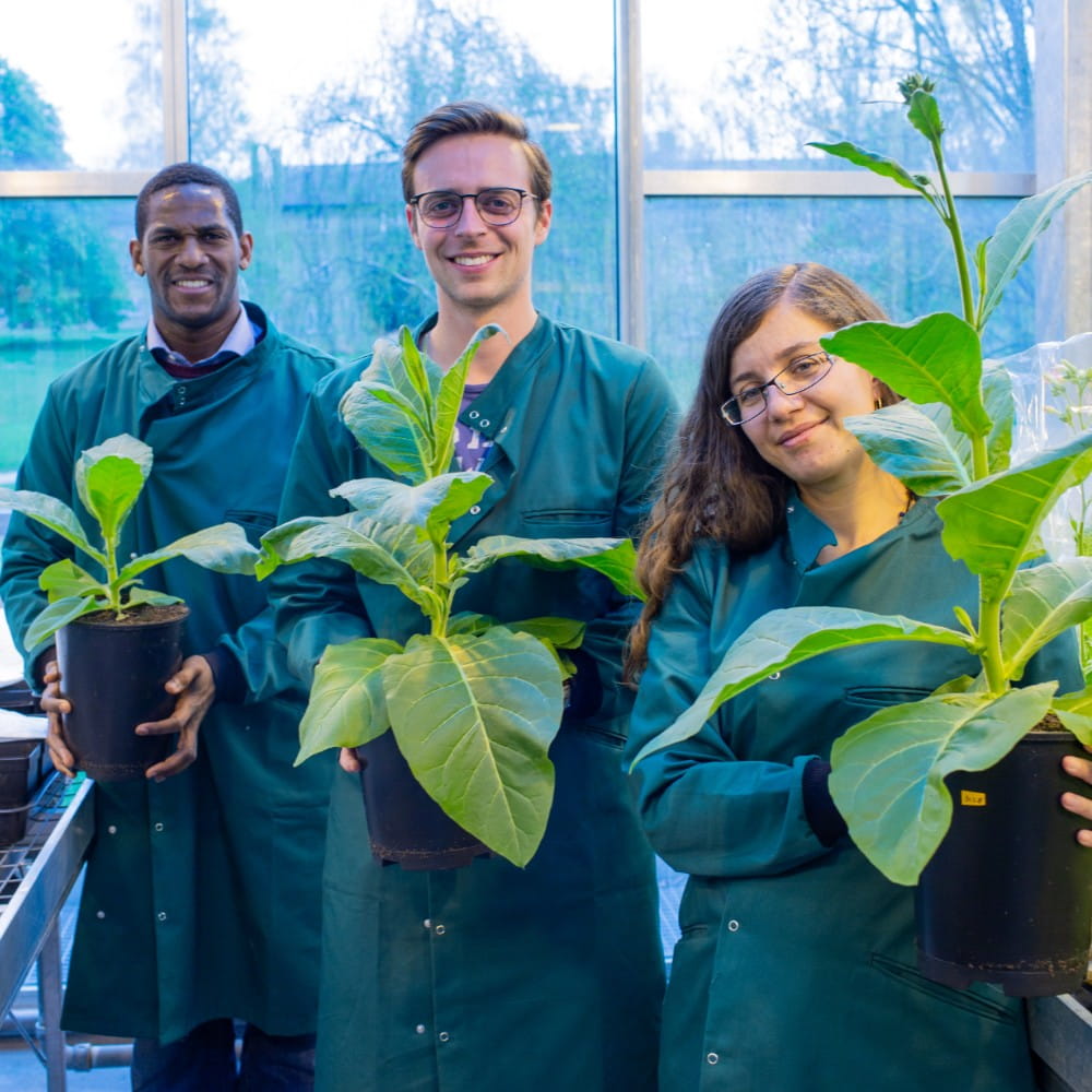 Scientists with plants in lab