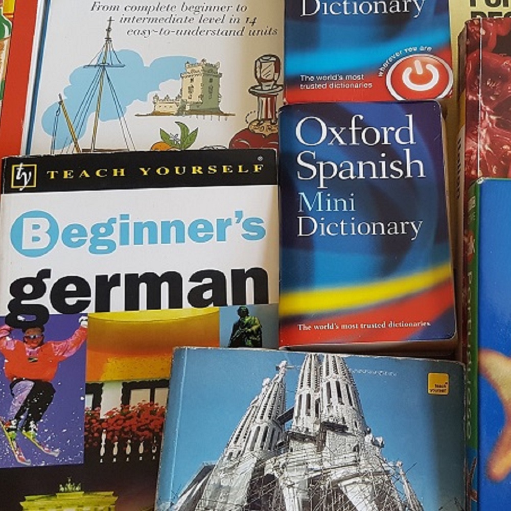 Lots of foreign language dictionaries.