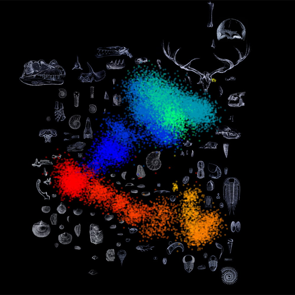 This shows the long-term evolutionary and ecological impacts of major events of extinction and speciation.