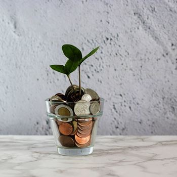 A clear pot of coins with a small tree growing from it.