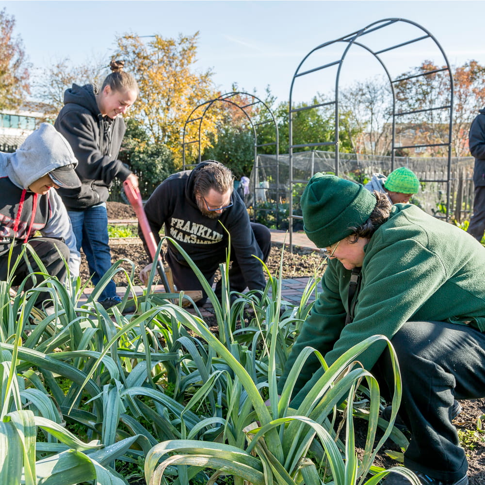People gardening 