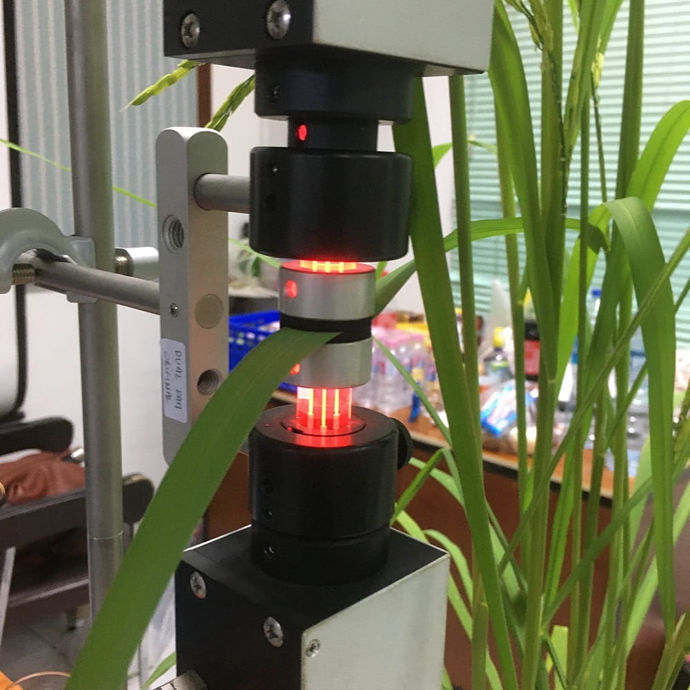 The GCRF funds also supported the purchase of a Photosync device at Khon Kaen University