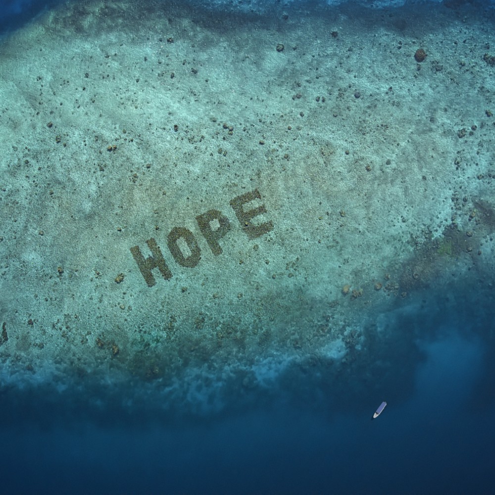 HOPE reef seen from the sky