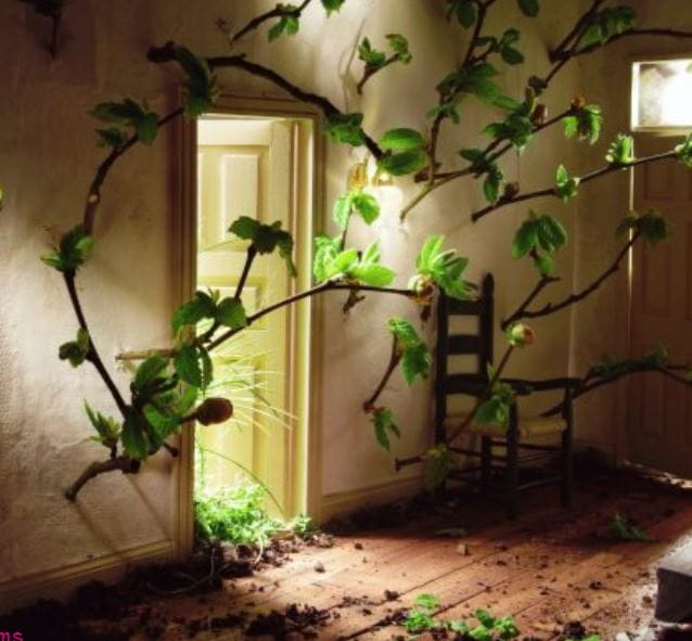 Image from exhibition