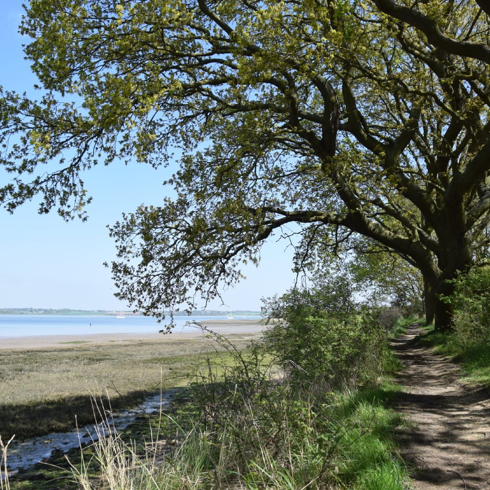 Wrabness nature reserve