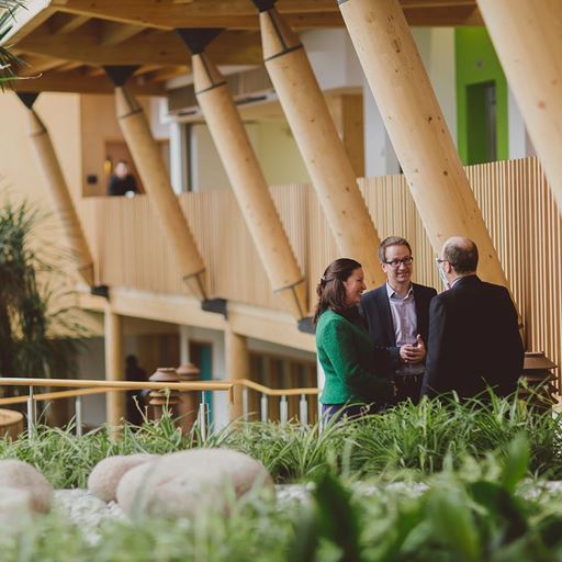 Staff discuss among the plants and wooden pillars of Essex Business School.