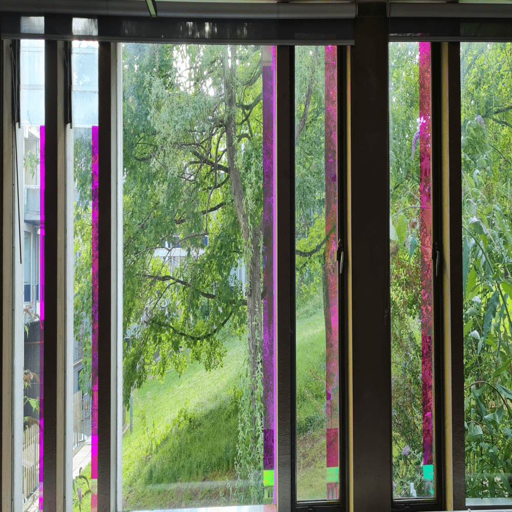 Image of a window overlooking nature from the University of Essex Faith Centre