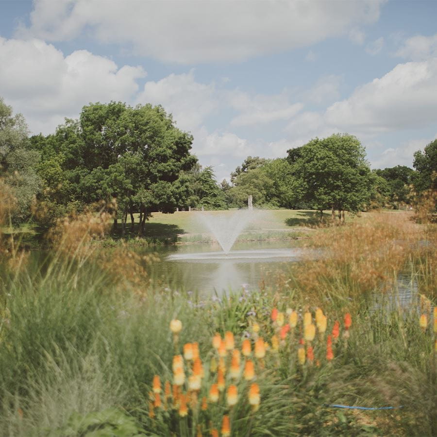 Environment