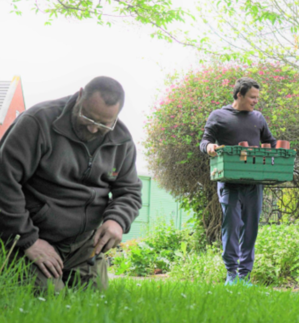 Volunteers gardening 