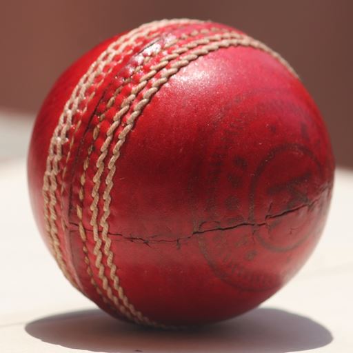 A picture of a cricket ball