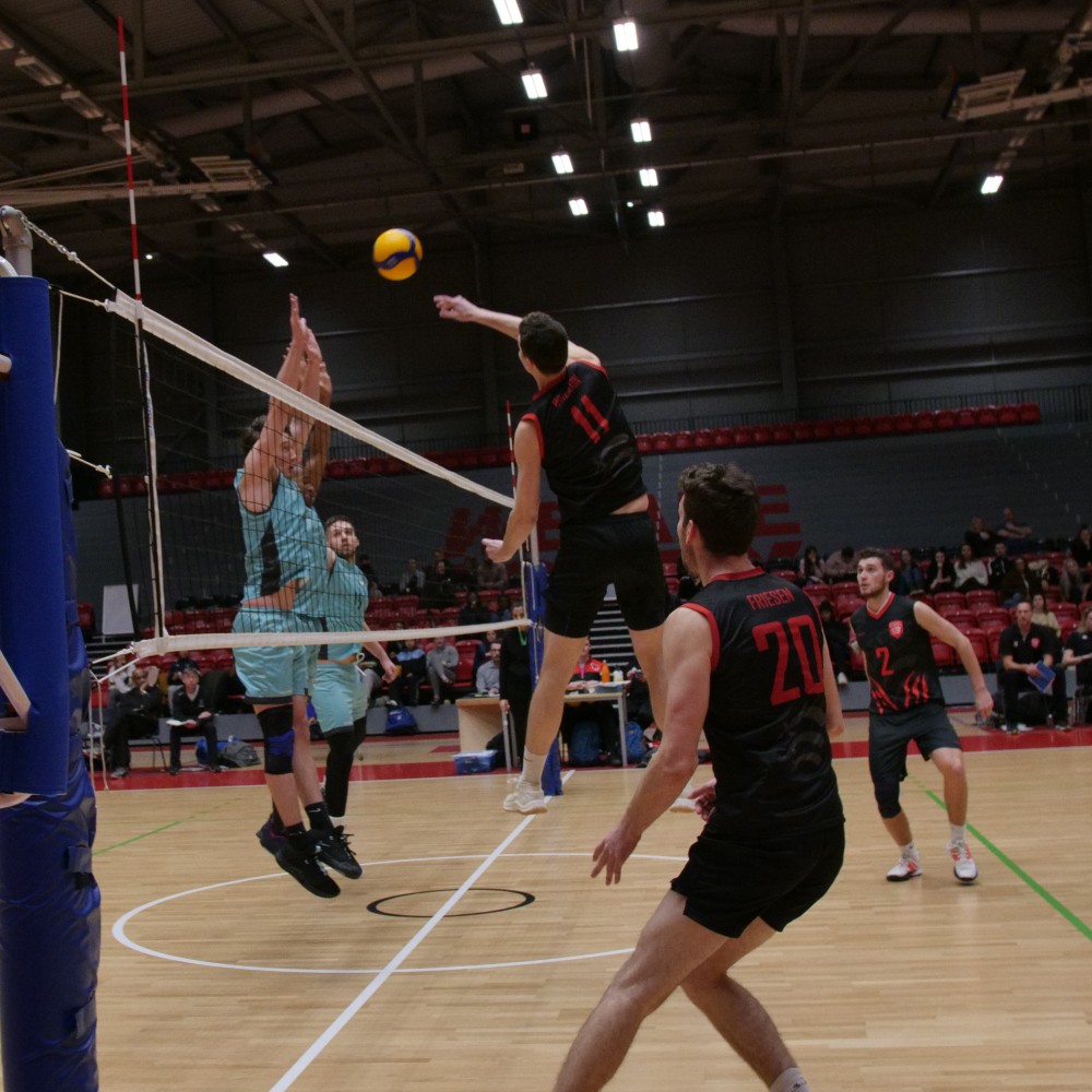 Essex players in action