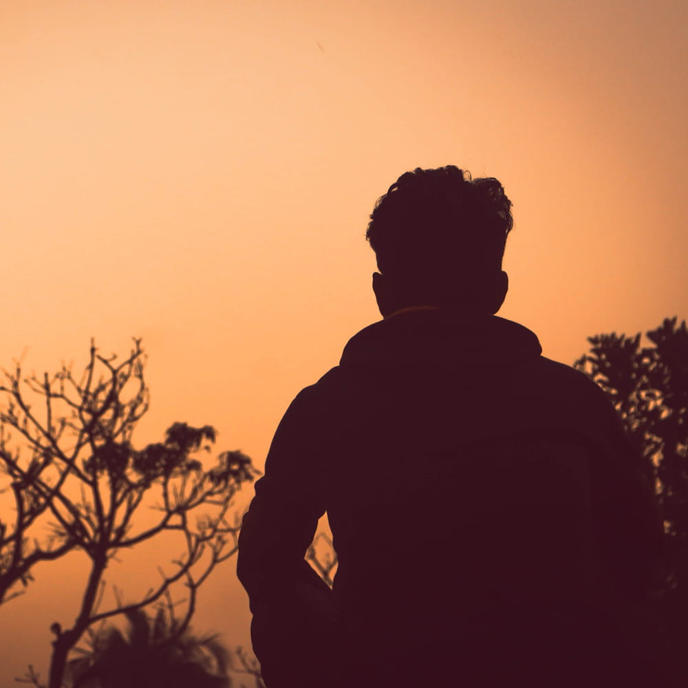 silhouette of young man looking at trees
