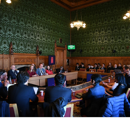photo of an event at Houses of Parliament showing a panel of experts 