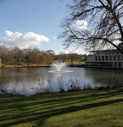A fountain in a lake at the University of Essex Colchester campus