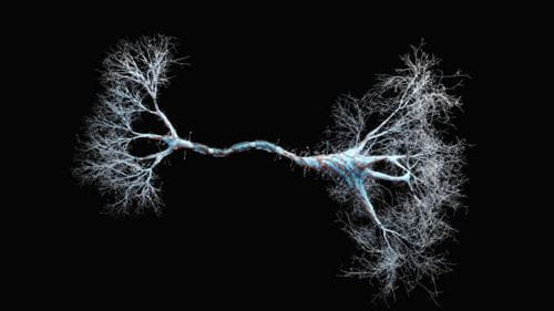 Natural and synthetic chaperones for SOD1-related Motor Neurone Disease