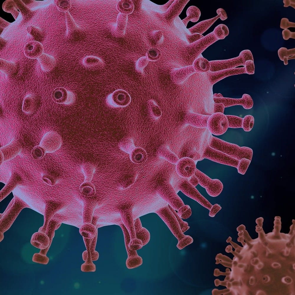 Image of a virus