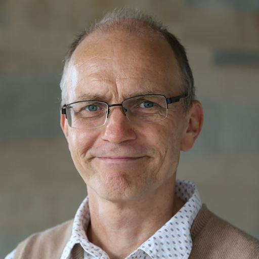portrait photo of Professor Gijsbert Stoet