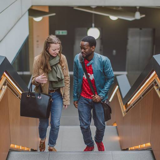 Two students walking up stairs